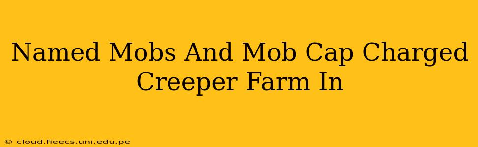 Named Mobs And Mob Cap Charged Creeper Farm In