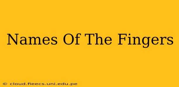 Names Of The Fingers