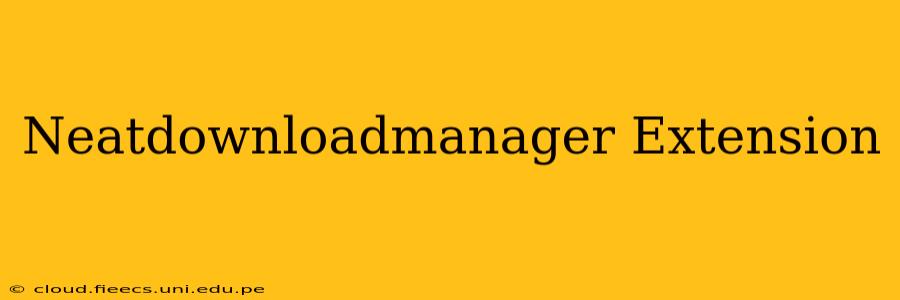 Neatdownloadmanager Extension