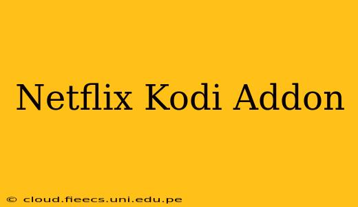Netflix Kodi Addon