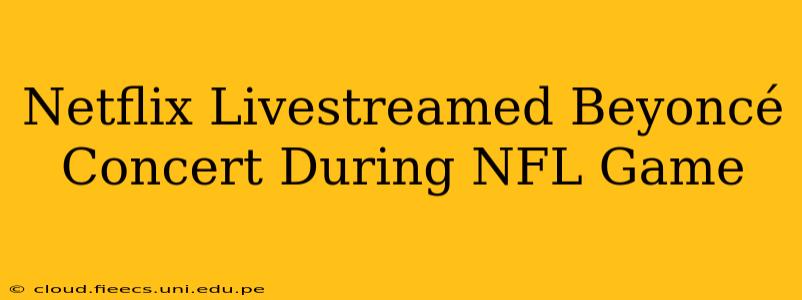 Netflix Livestreamed Beyoncé Concert During NFL Game
