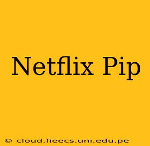 Netflix Pip