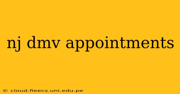 nj dmv appointments