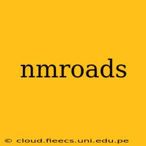 nmroads