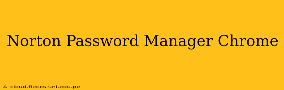 Norton Password Manager Chrome