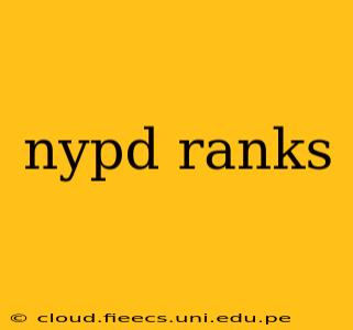 nypd ranks