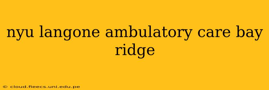 nyu langone ambulatory care bay ridge