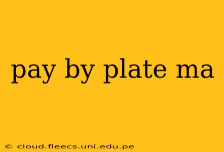 pay by plate ma