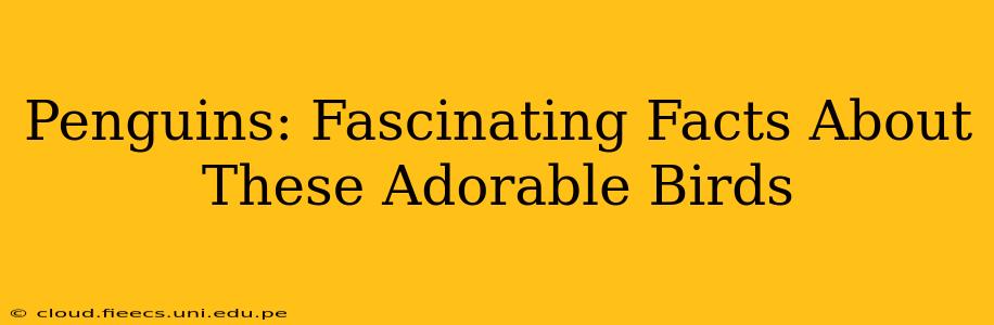 Penguins: Fascinating Facts About These Adorable Birds