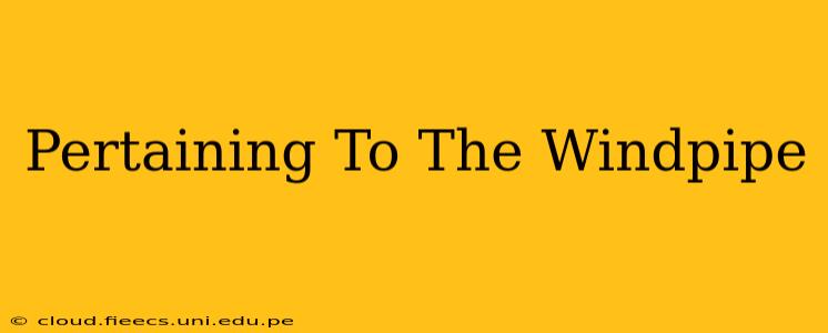 Pertaining To The Windpipe
