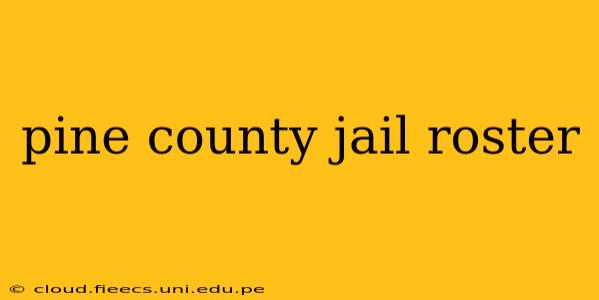 pine county jail roster