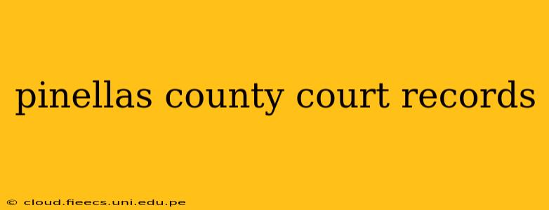 pinellas county court records