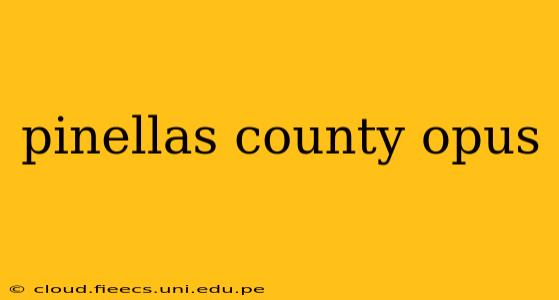pinellas county opus