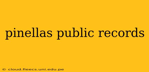 pinellas public records