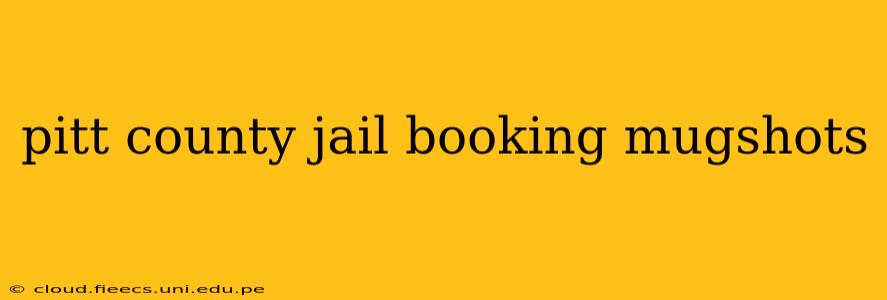 pitt county jail booking mugshots