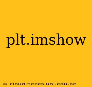 plt.imshow