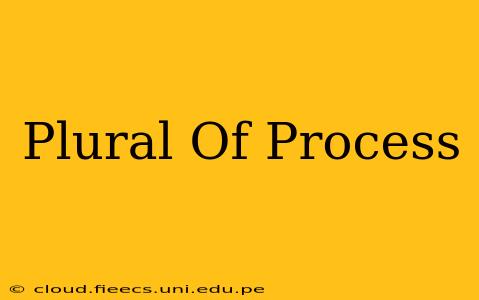Plural Of Process