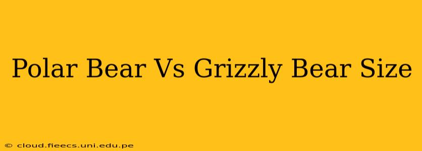Polar Bear Vs Grizzly Bear Size