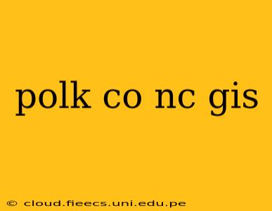 polk co nc gis