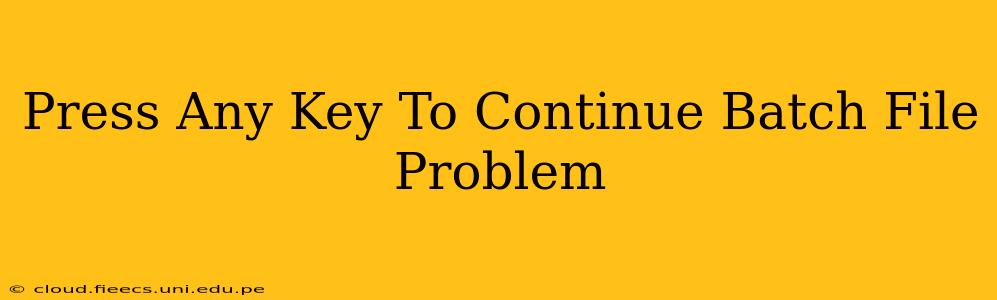 Press Any Key To Continue Batch File Problem