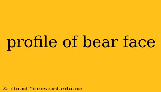 profile of bear face