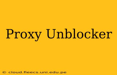 Proxy Unblocker