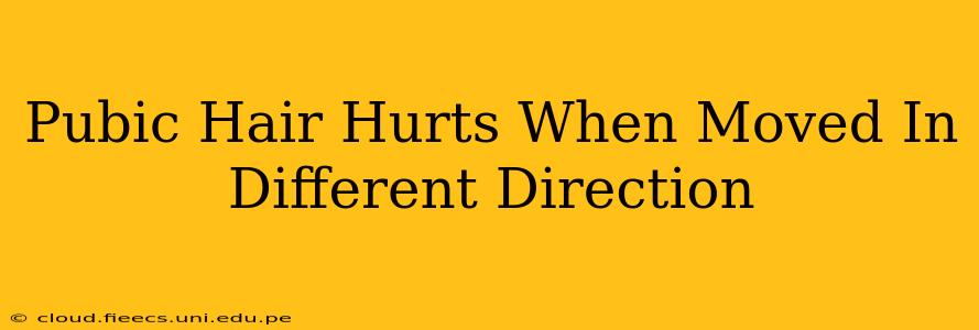 Pubic Hair Hurts When Moved In Different Direction