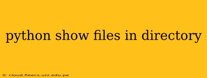 python show files in directory