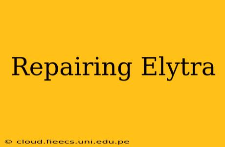 Repairing Elytra
