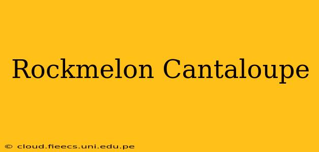 Rockmelon Cantaloupe