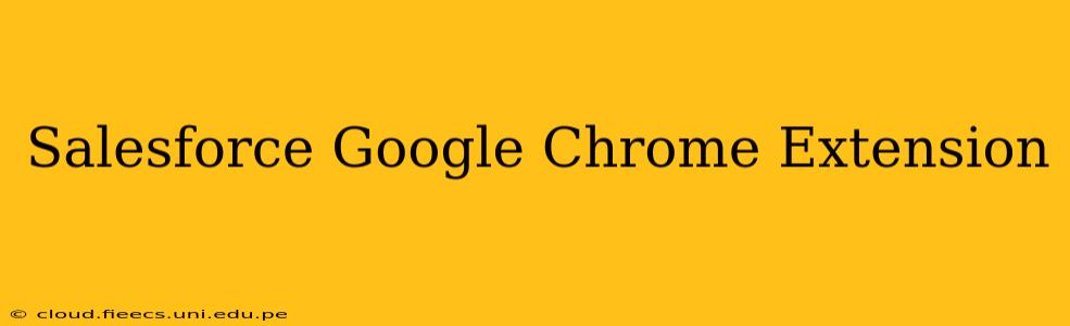 Salesforce Google Chrome Extension