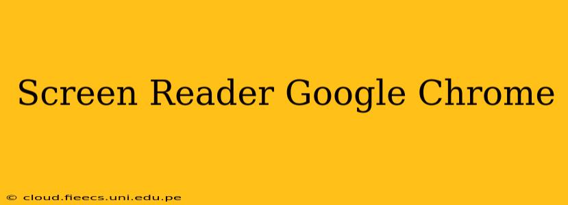 Screen Reader Google Chrome