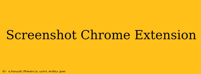 Screenshot Chrome Extension