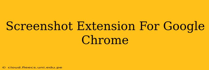 Screenshot Extension For Google Chrome