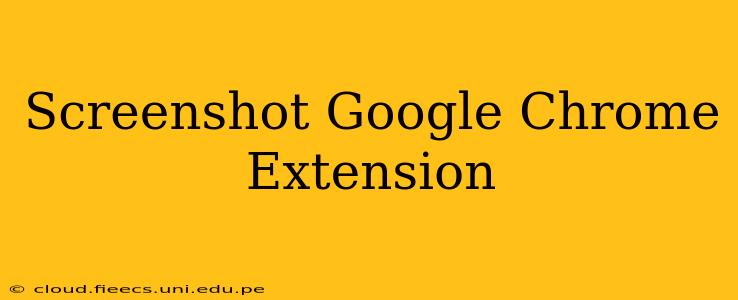 Screenshot Google Chrome Extension