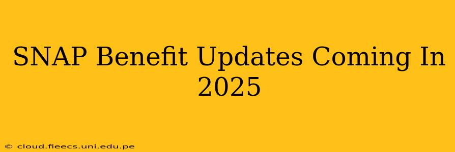 SNAP Benefit Updates Coming In 2025