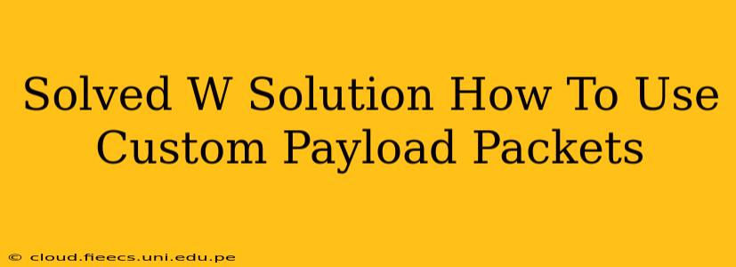 Solved W Solution How To Use Custom Payload Packets