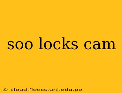 soo locks cam