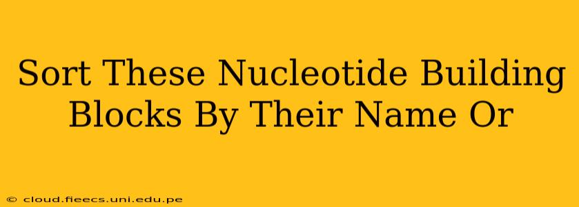 Sort These Nucleotide Building Blocks By Their Name Or