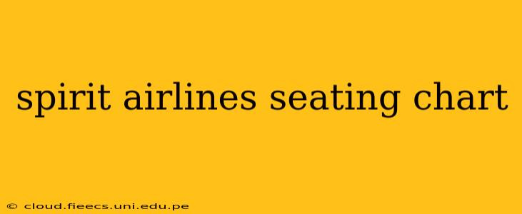 spirit airlines seating chart