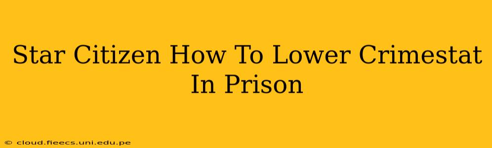 Star Citizen How To Lower Crimestat In Prison