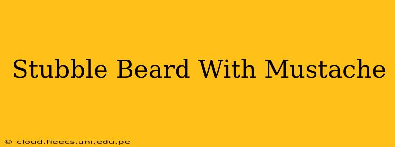 Stubble Beard With Mustache