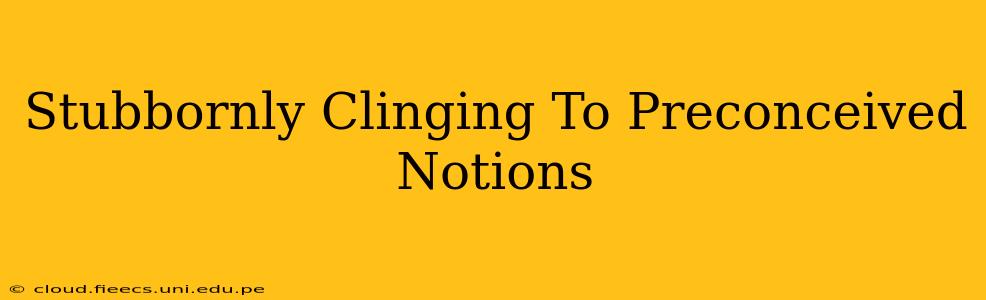 Stubbornly Clinging To Preconceived Notions