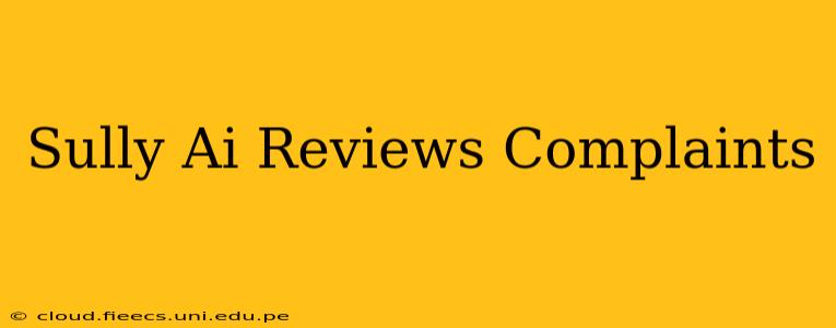 Sully Ai Reviews Complaints