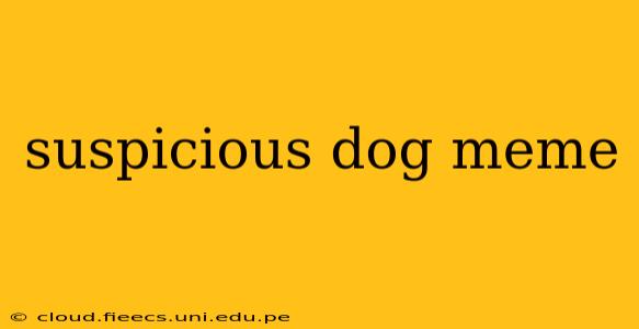 suspicious dog meme