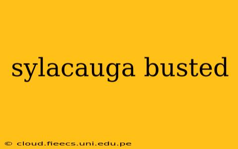 sylacauga busted