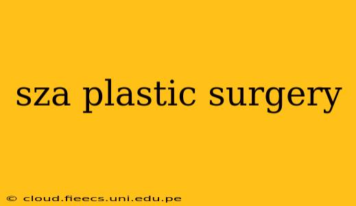 sza plastic surgery