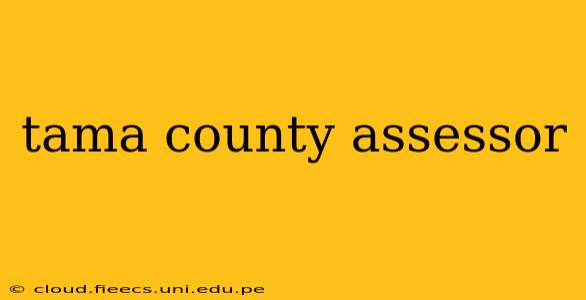 tama county assessor