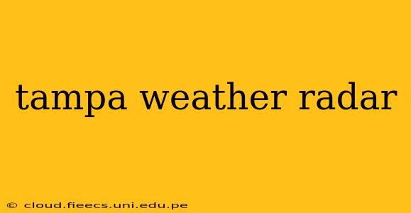 tampa weather radar