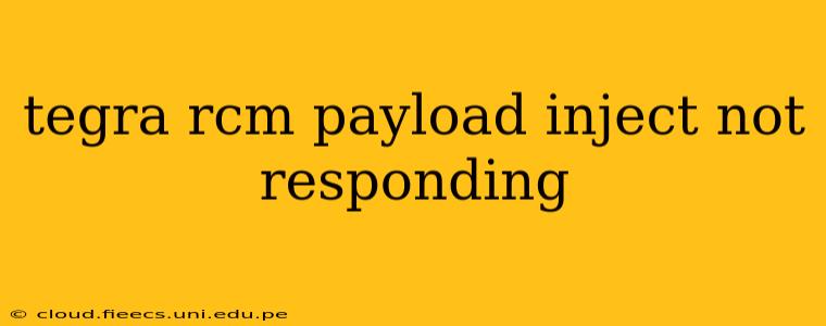 tegra rcm payload inject not responding